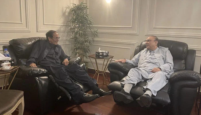 Zardari Shujaat